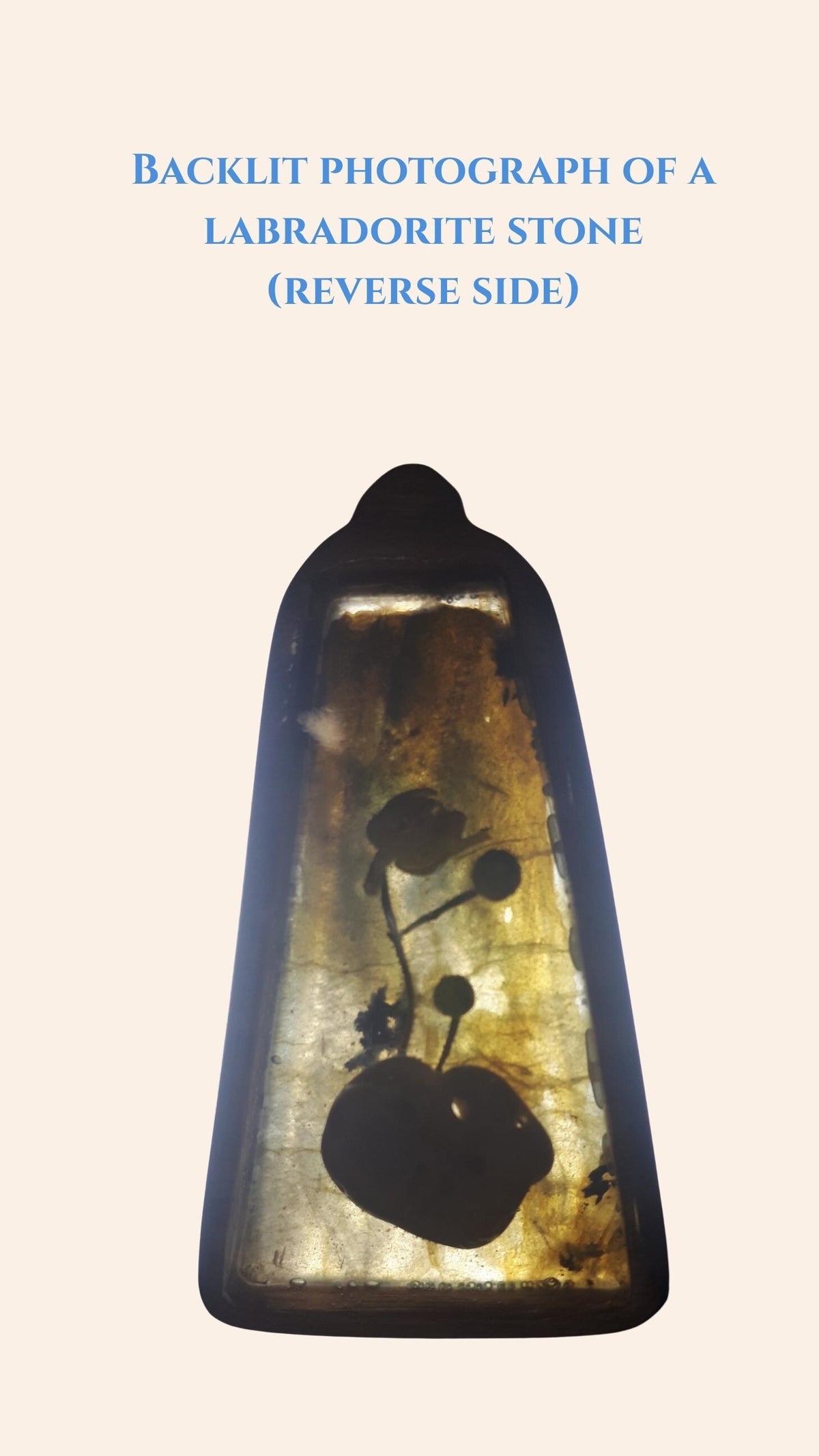 Labradorite Linden Flower Wood Pendant Necklace, Double-Sided Botanical Resin