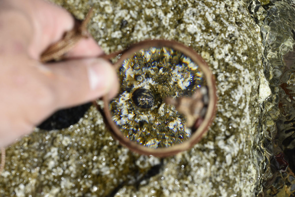 Zen-themed magnifying glass necklace with leather cord